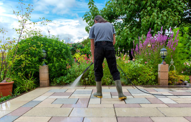 Best Residential Pressure Washing in West Belmar, NJ